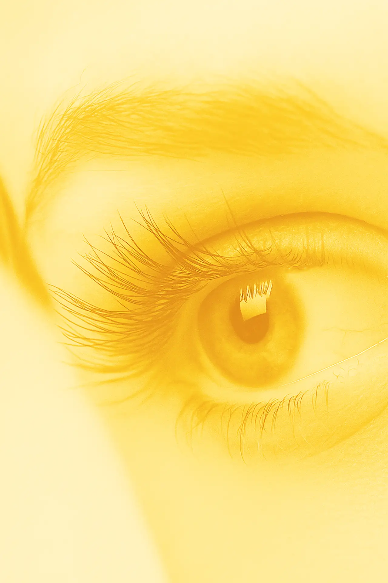 Themenübersicht zu Produkten rund um Augen und Sehkraft