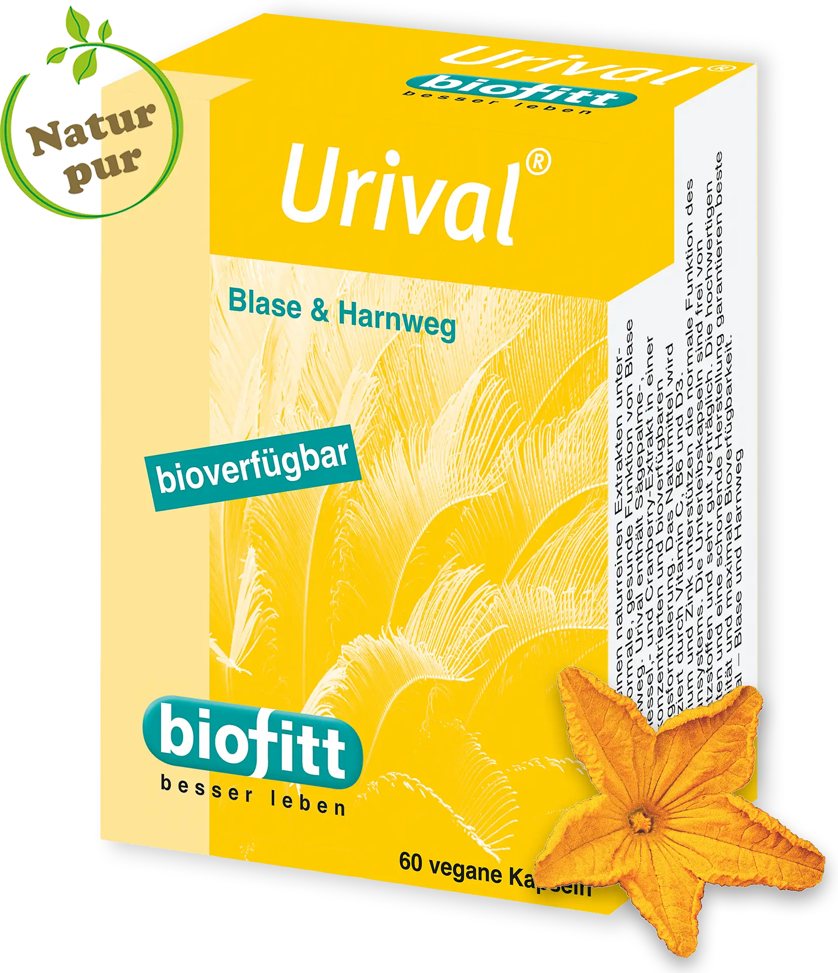 Urival – Sägepalme, Brennnessel & Cranberry Kapseln – Produktabbildung Vorderseite