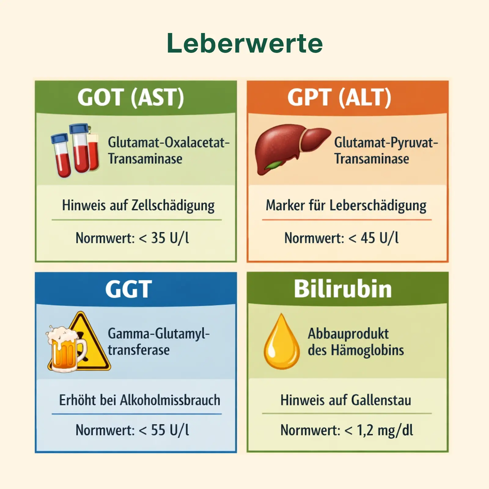 Diese Leberwerte sollten im Normalbereich liegen