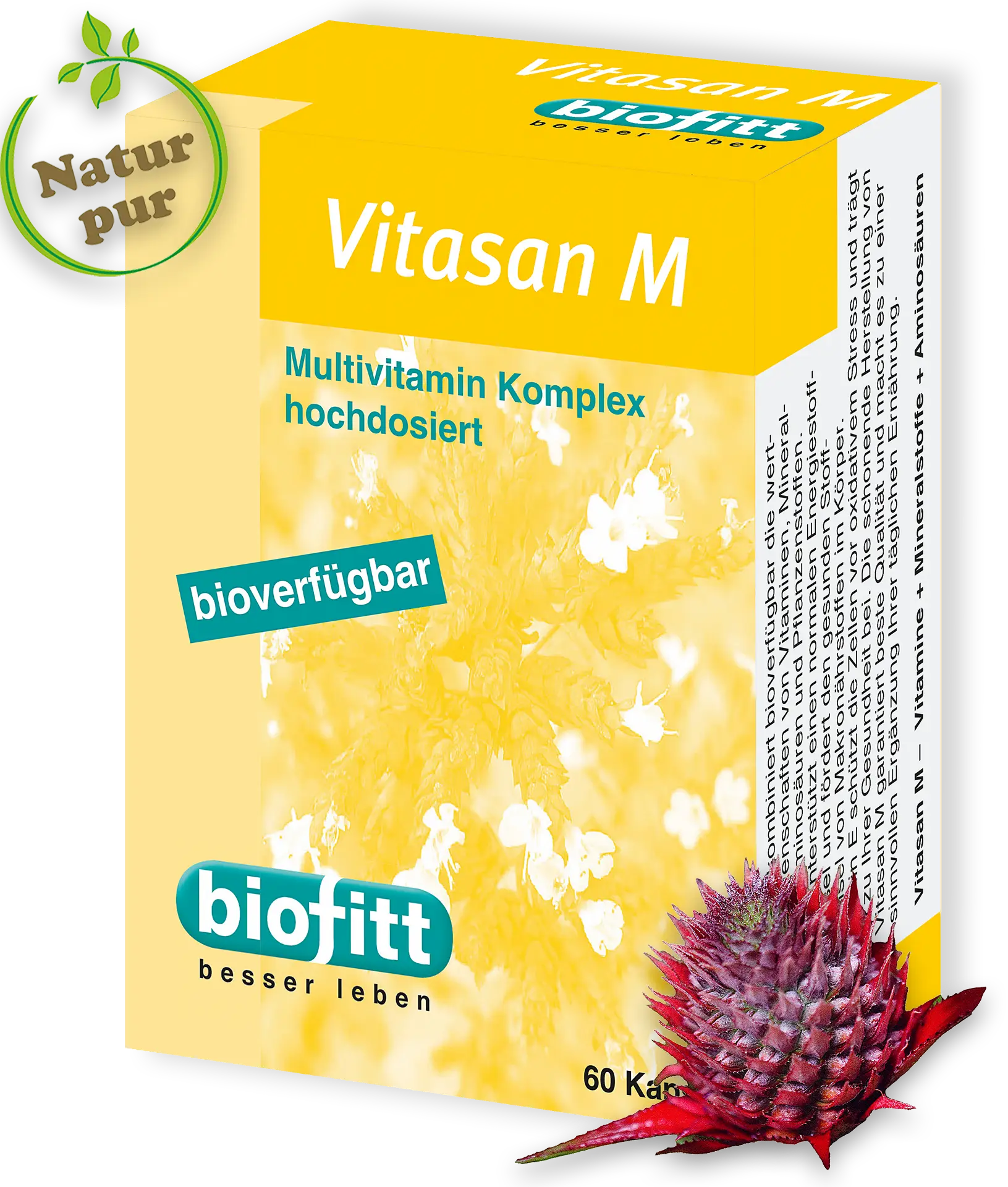 Vitasan M – Vitamin Kapseln – Multivitamin Präparat – Produktabbildung Vorderseite