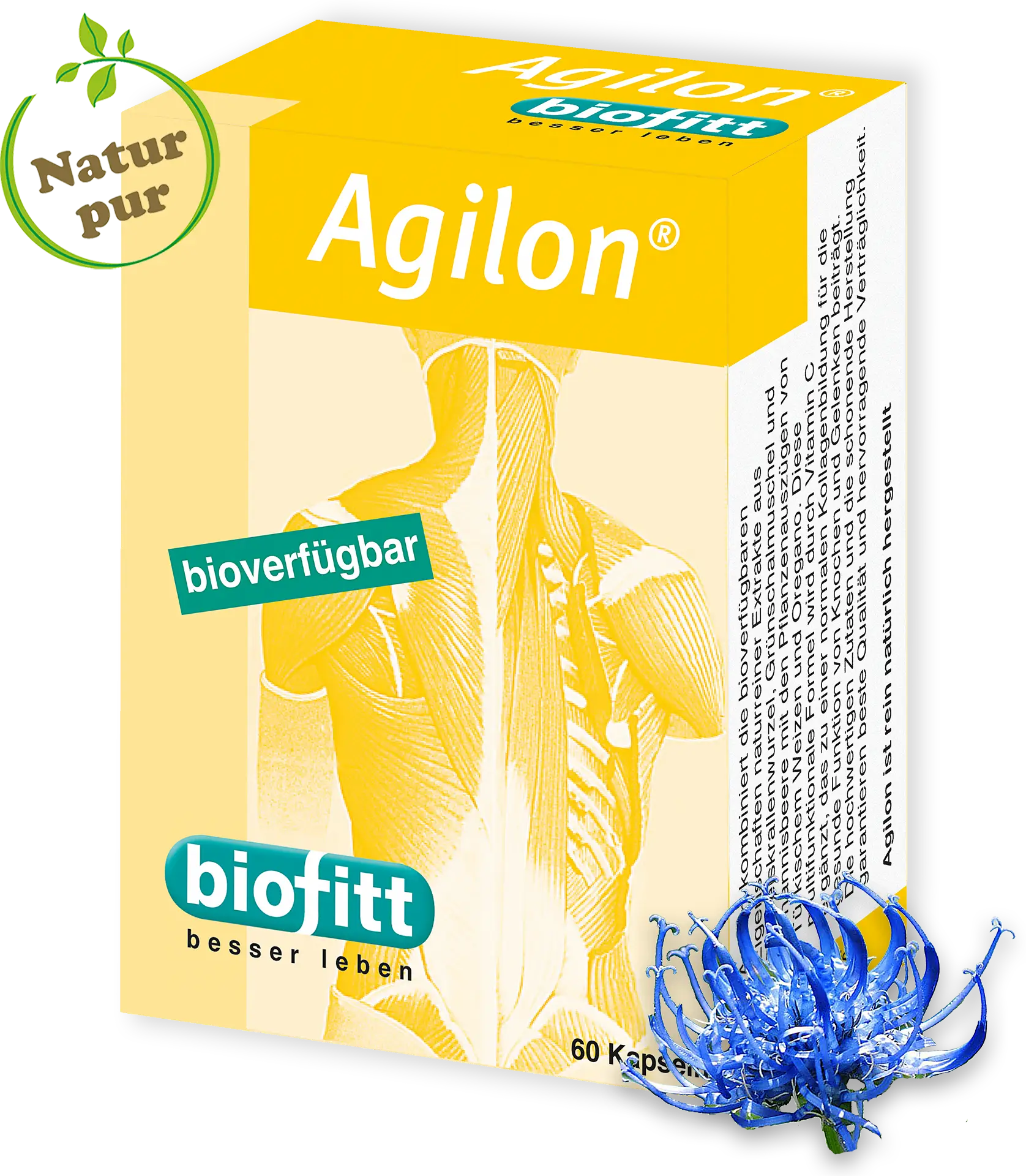 Agilon – Teufelskralle & Grünlippmuschel Kapseln – Produktabbildung Vorderseite