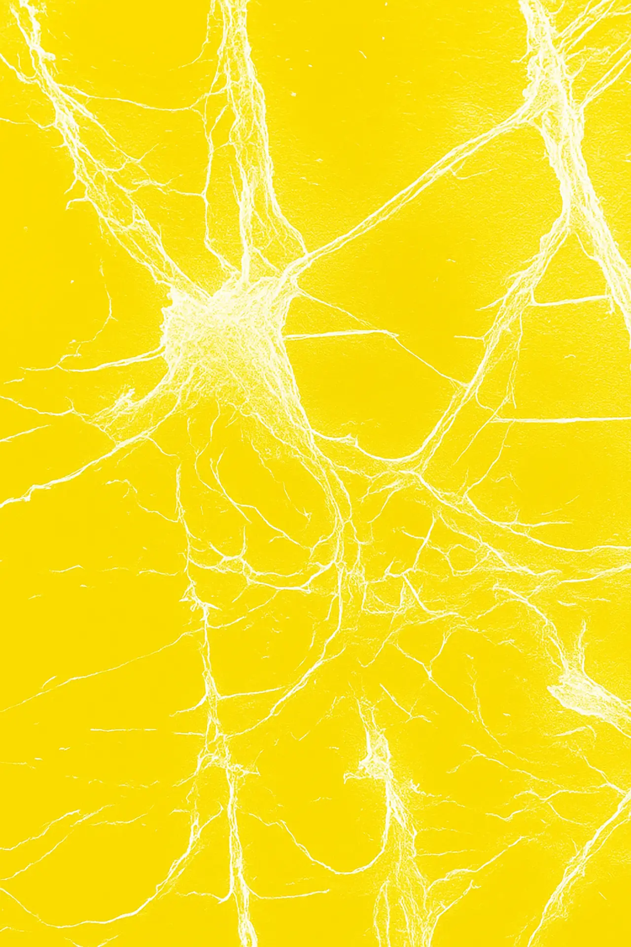 Themenübersicht zu Produkten rund um das Nervensystem