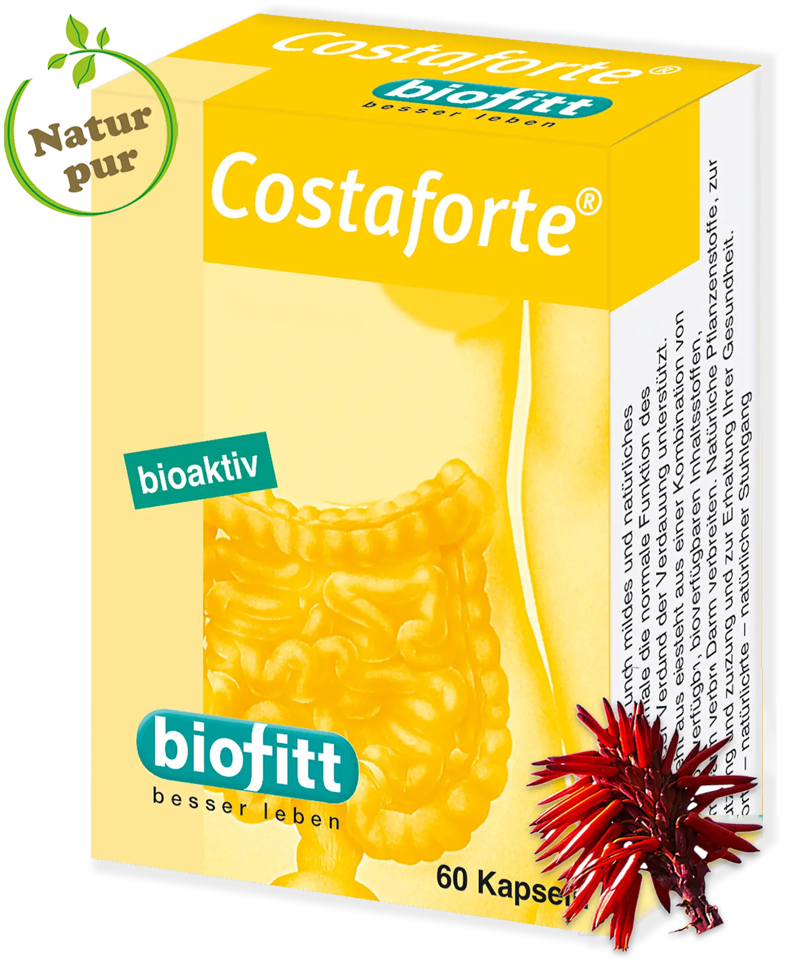 2-Costaforte