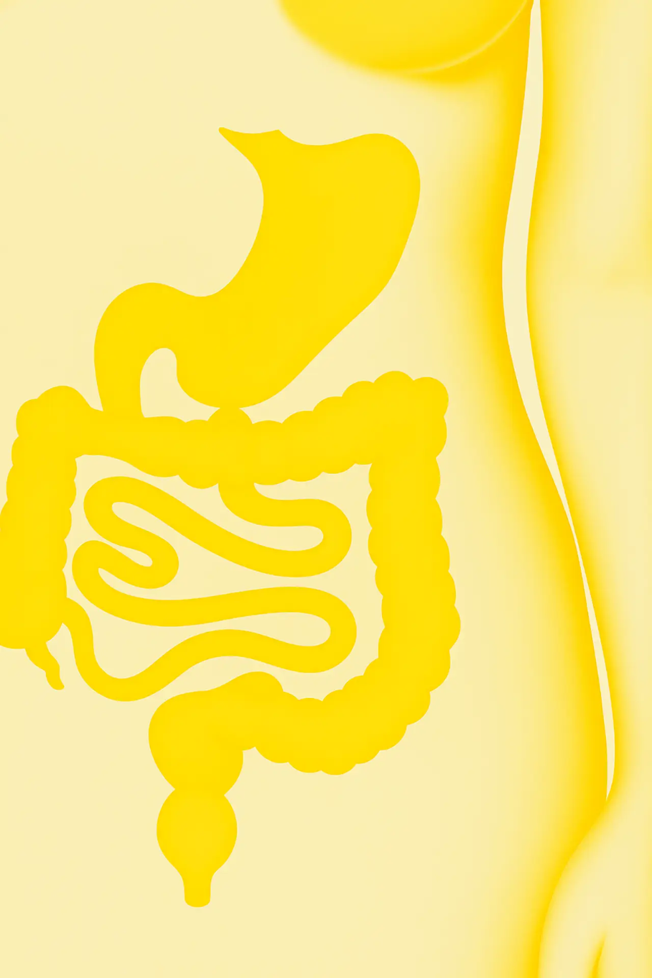 Themenübersicht zu Produkten rund um die Darmgesundheit