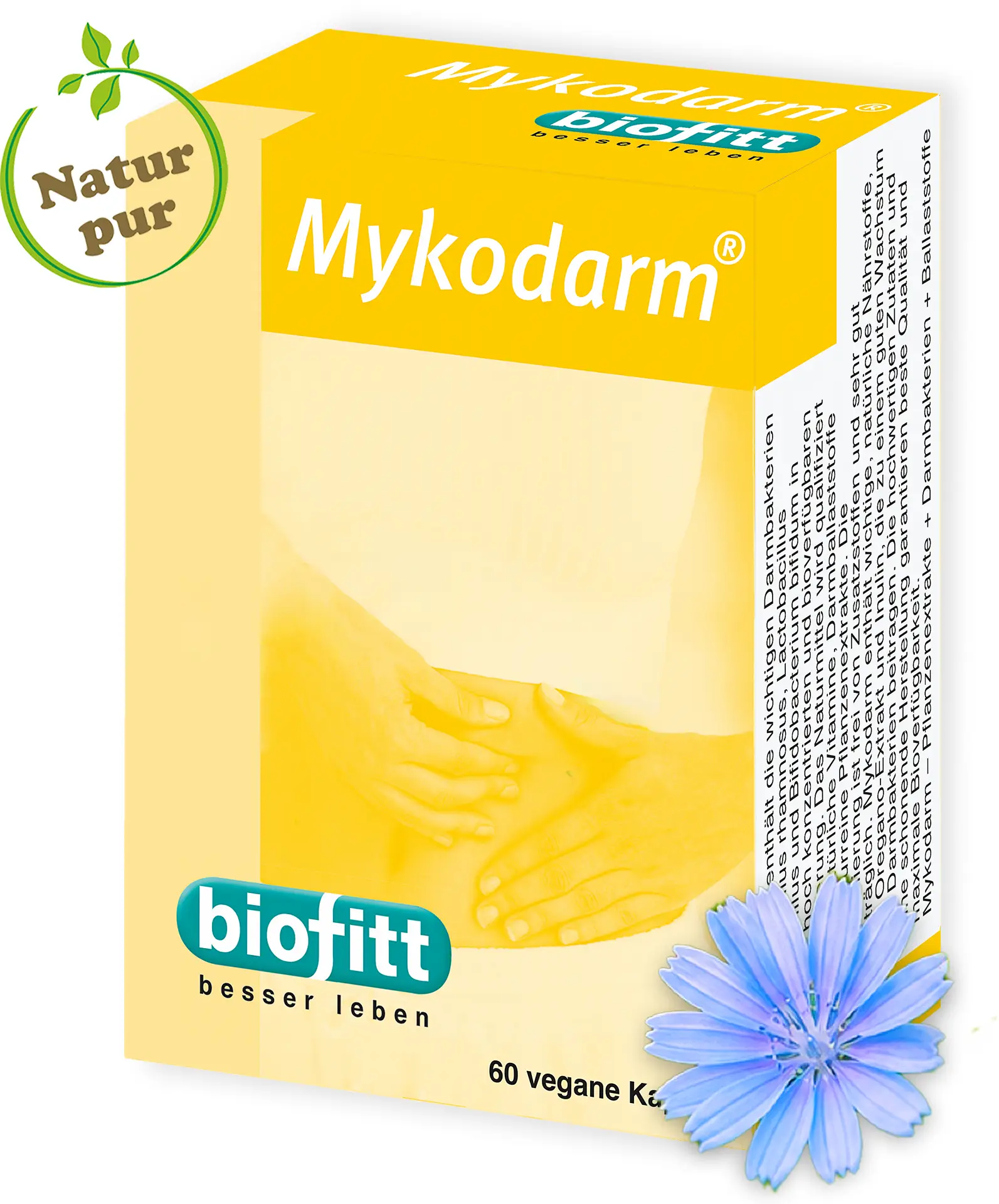 Mykodarm Darmkur Kapseln von biofitt in der Produktverpackung