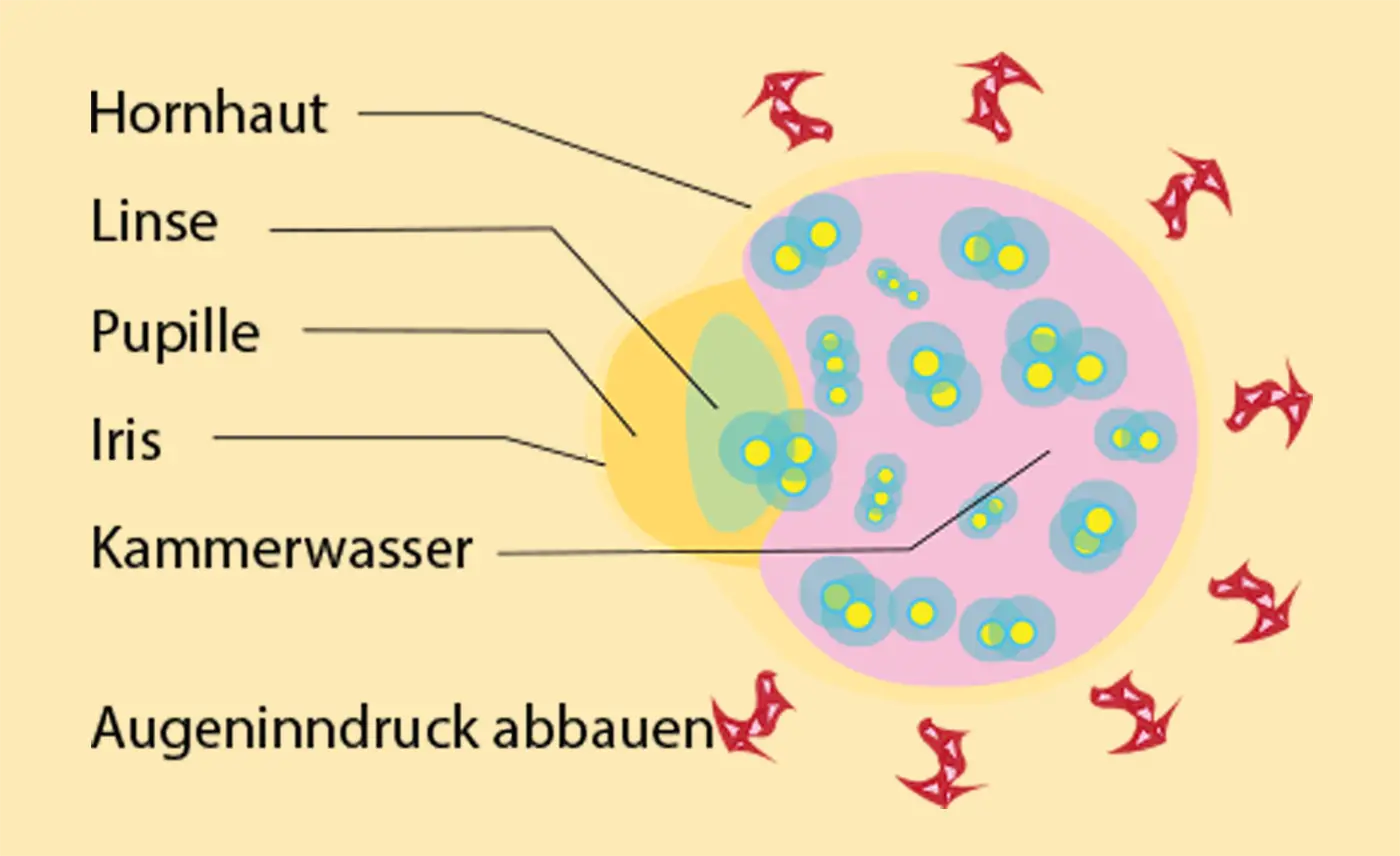 Wie entsteht der Augeninnendruck Illustration